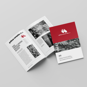 Revistas