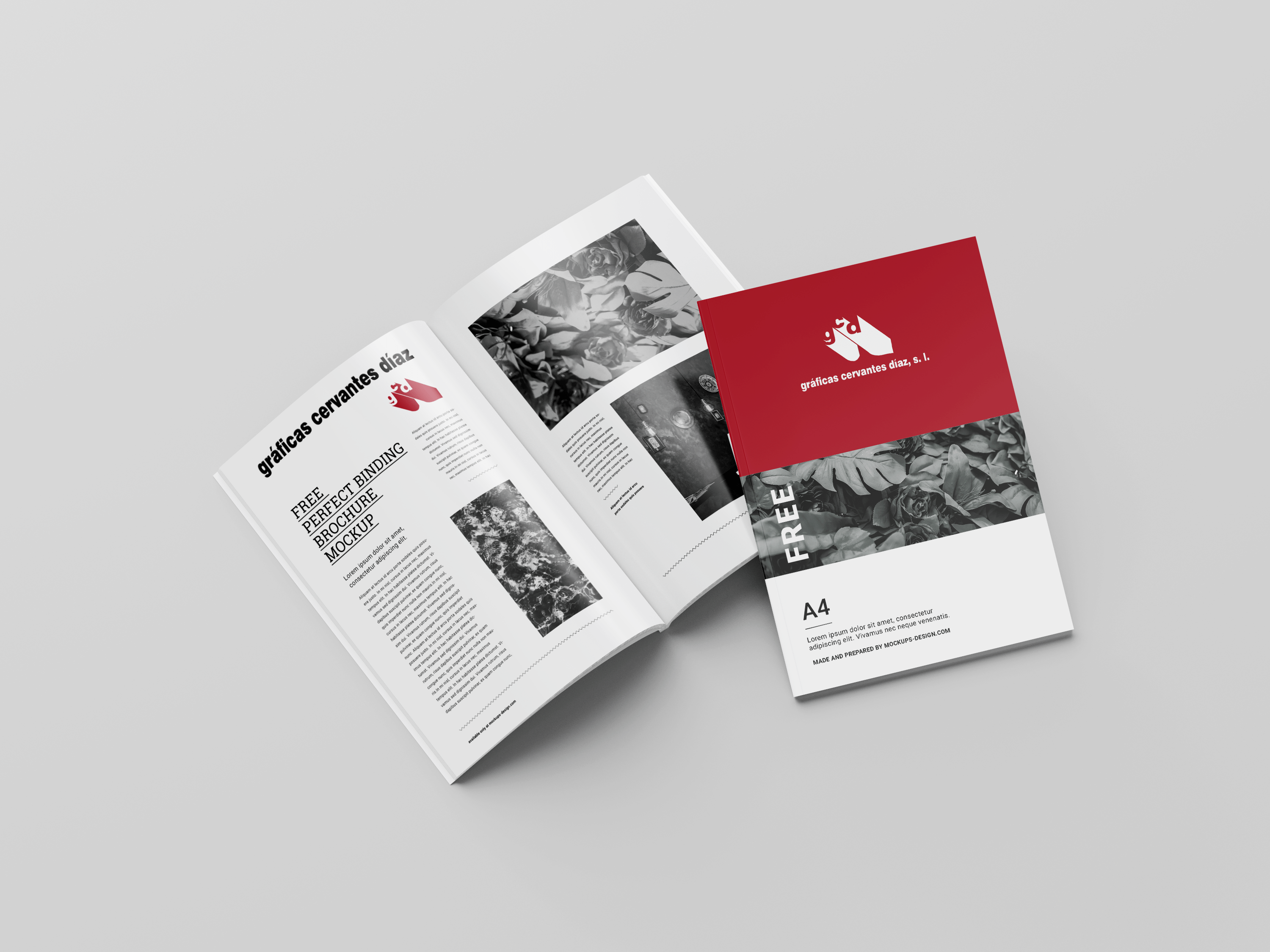 Revistas